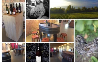 Weinkeller jeden Donnerstagabend geöffnet